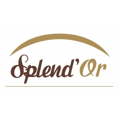 SPLEND`OR
